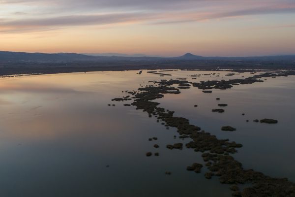 dji_0023D5625D21-BEEA-8BA8-45F2-2626322F6BA0.jpg